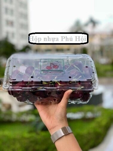 Hộp nhựa đựng 1kg nho, nhãn, cherry, …P1000A