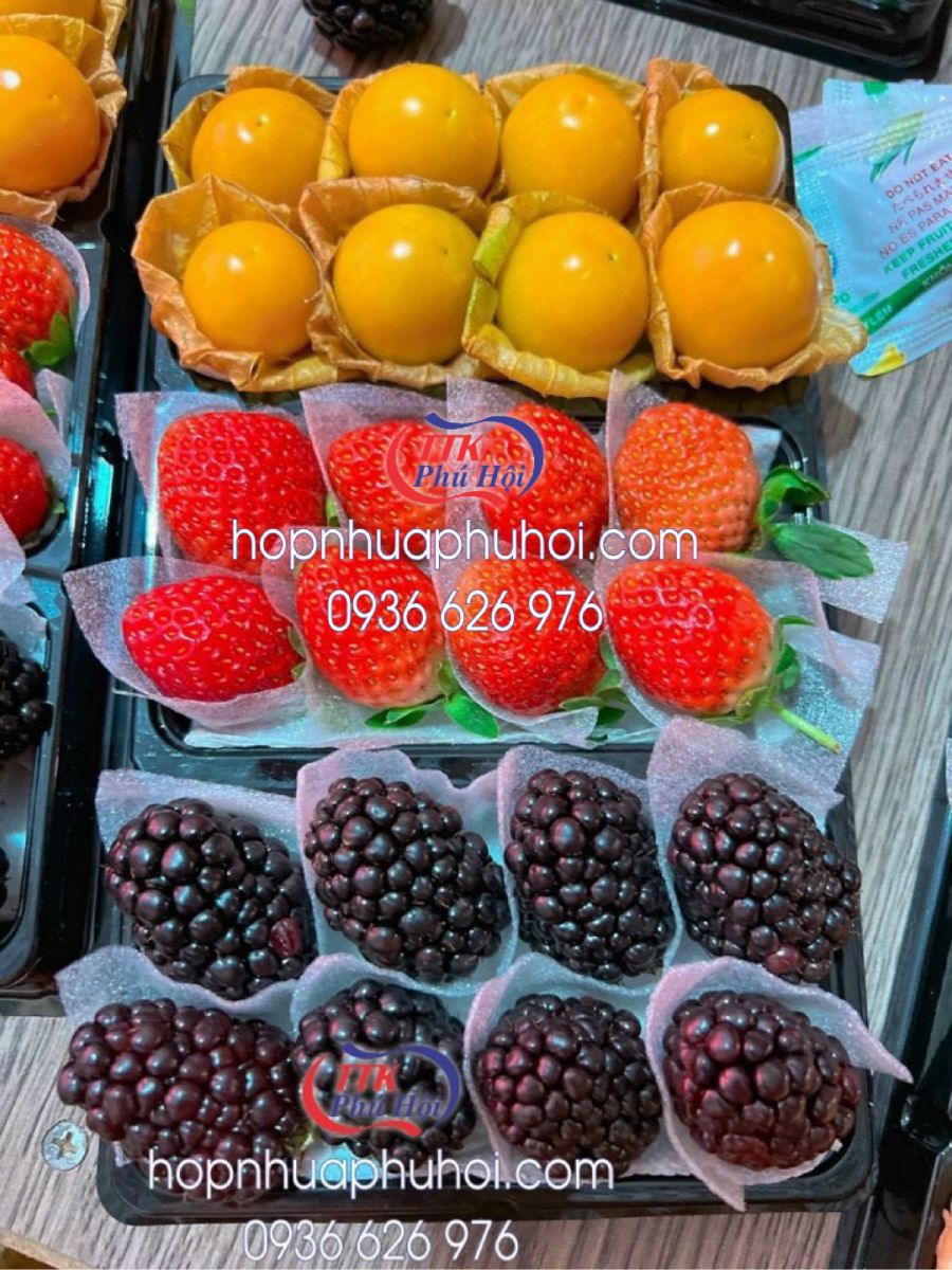 Mua Khay Nhựa 3 Ngăn Giá Sỉ Ở Đâu Uy Tín?
