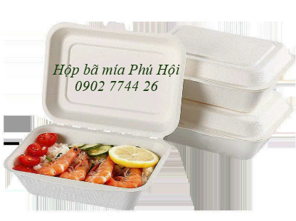 Hộp bã mía 1 ngăn nắp liền 450ml tại TP HCM