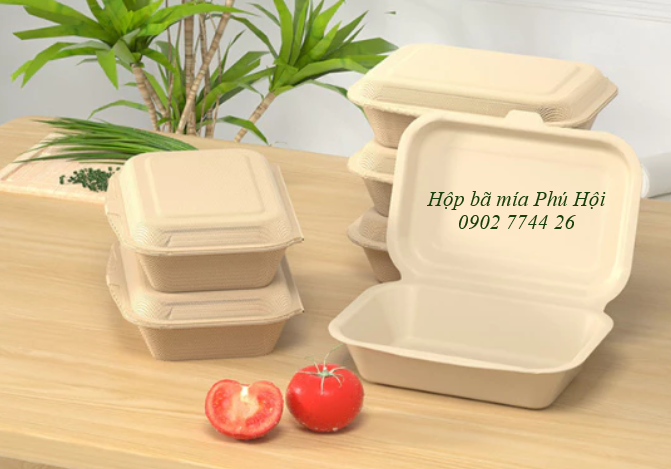 Hộp bã mía 1 ngăn nắp liền 450ml tại TP HCM