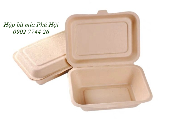 Hộp bã mía 1 ngăn nắp liền 600ml tại Tp HCM