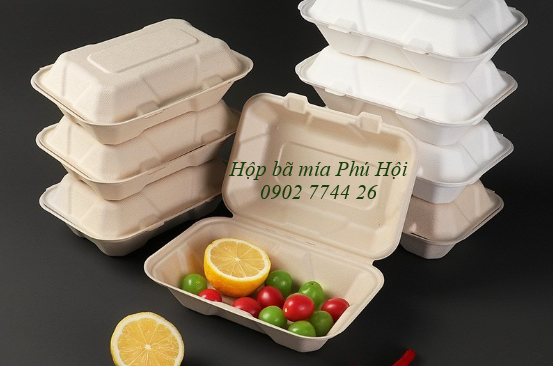Hộp bã mía 1 ngăn nắp liền 750ml tại tp HCM 