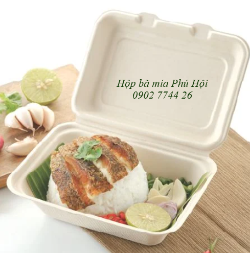 Hộp bã mía 1 ngăn nắp liền 750ml tại tp HCM 