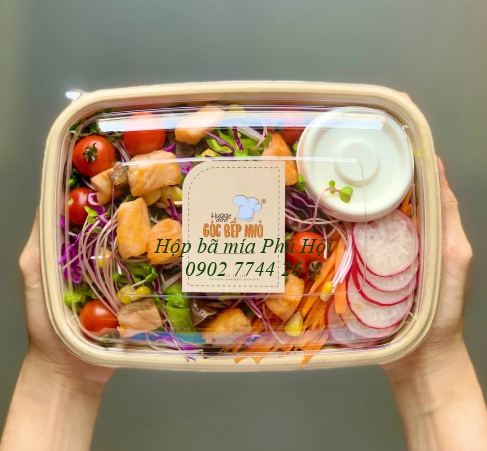 Hộp bã mía 1 ngăn to kèm nắp nhựa PET 1100ml tại tpHCM