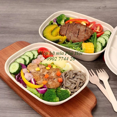 Hộp bã mía 1 ngăn to kèm nắp nhựa PET 850ml tại tpHCM