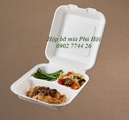 hộp bã mía 3 ngăn nắp liền tại tpHCM