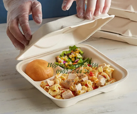 hộp bã mía 3 ngăn nắp liền tại tpHCM