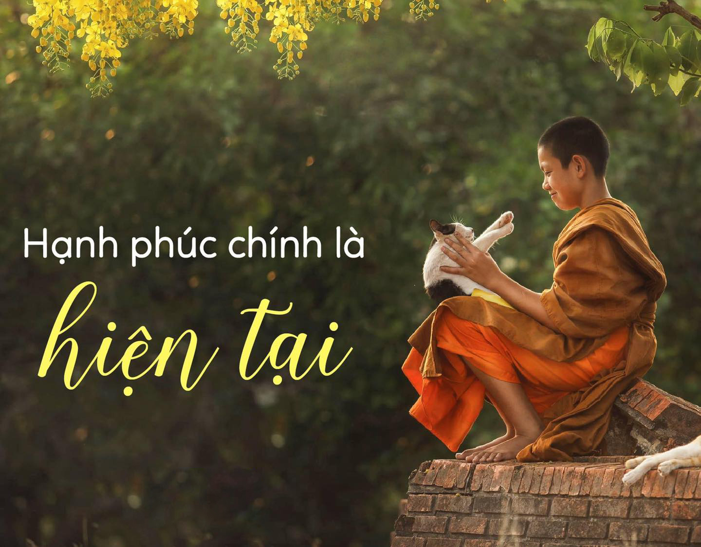 BÁT NƯỚC