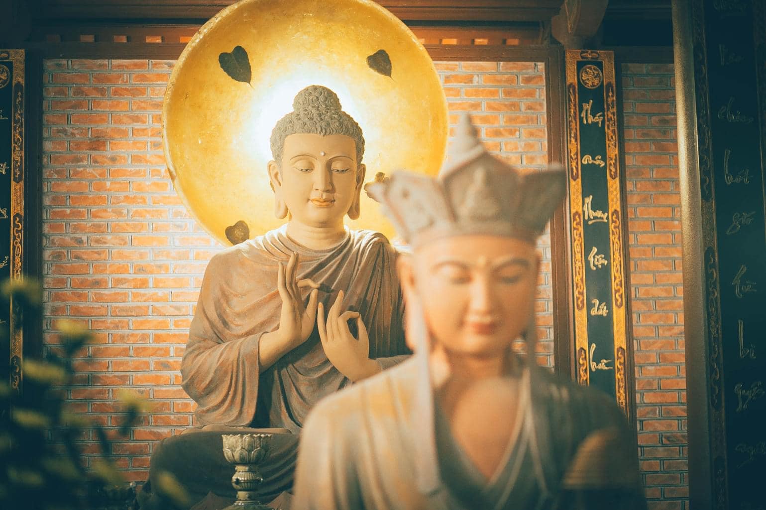 HẠNH TỪ BI