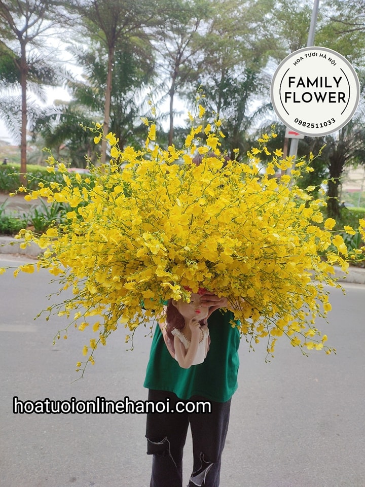 Nguồn gốc , ý nghĩa hoa vũ nữ - Family Flower