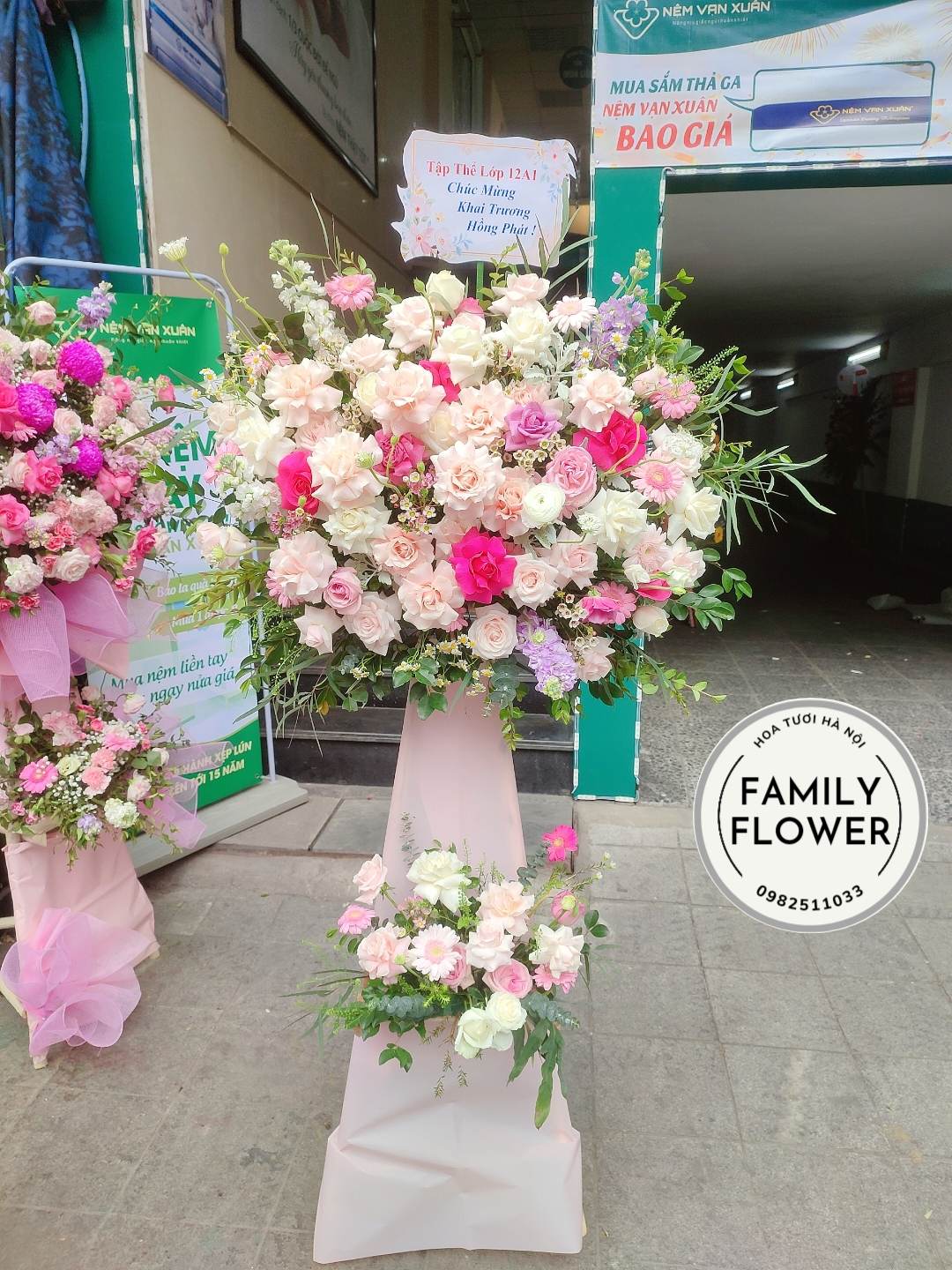 Cây hoa khai trương , chúc mừng , hội nghị tại Hà Nội.