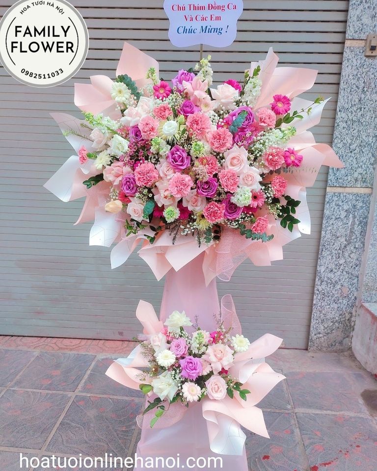 Cây hoa khai trương , cây hoa chúc mừng tặng bạn bè , đồng nghiệp tại Hà Nội.