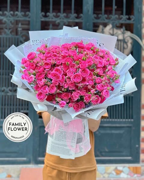 Bó hoa hồng sophia tặng bạn gái ở quận Cầu Giấy Hà Nội ! Hồng sophia Hà Nội