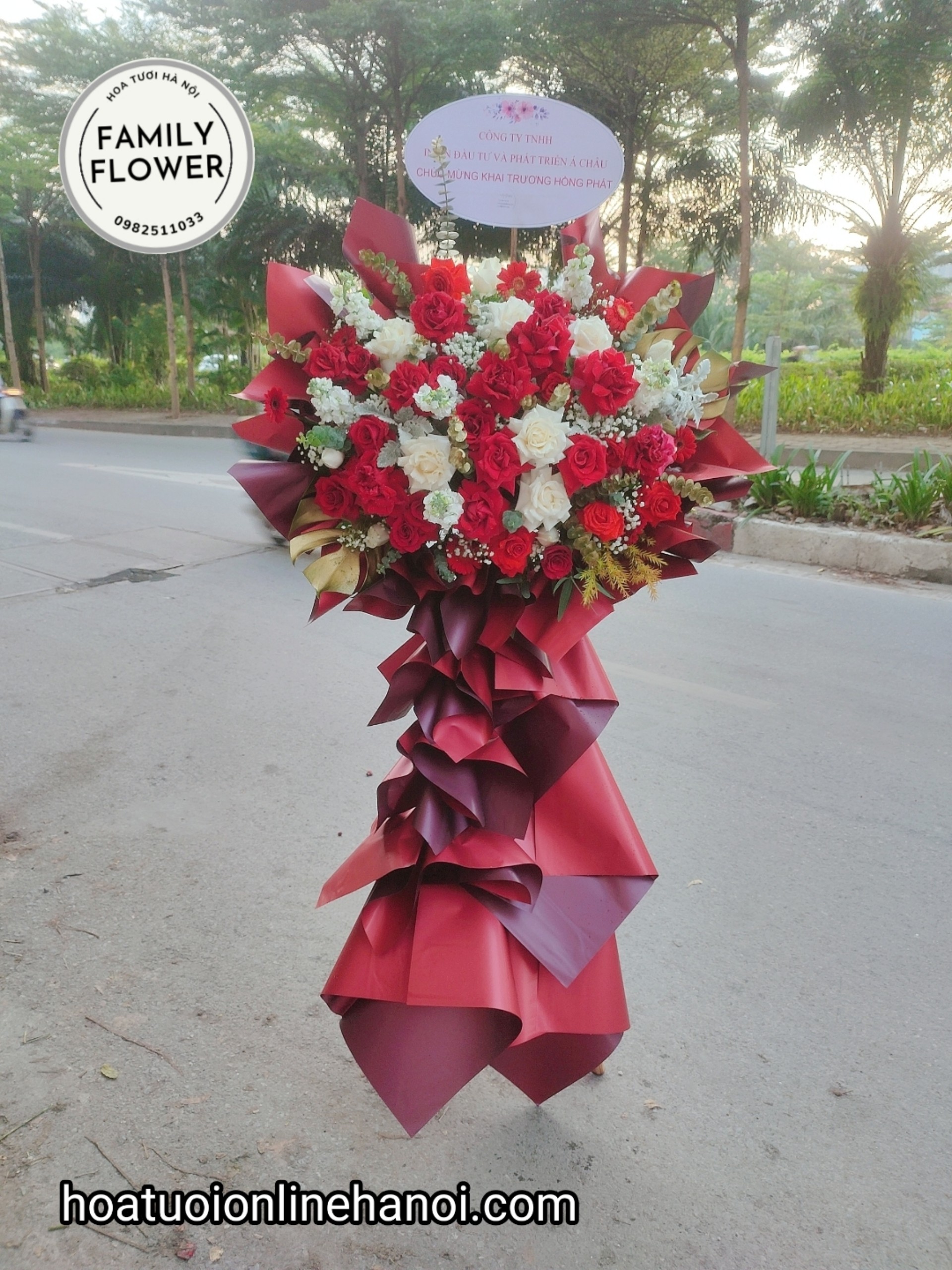 cây hoa HÒNG ĐỎ  chúc mừng khai trương, hội nghị, sự kiện , sinh nhật công ty .v.v.. ở HÀ NỘI