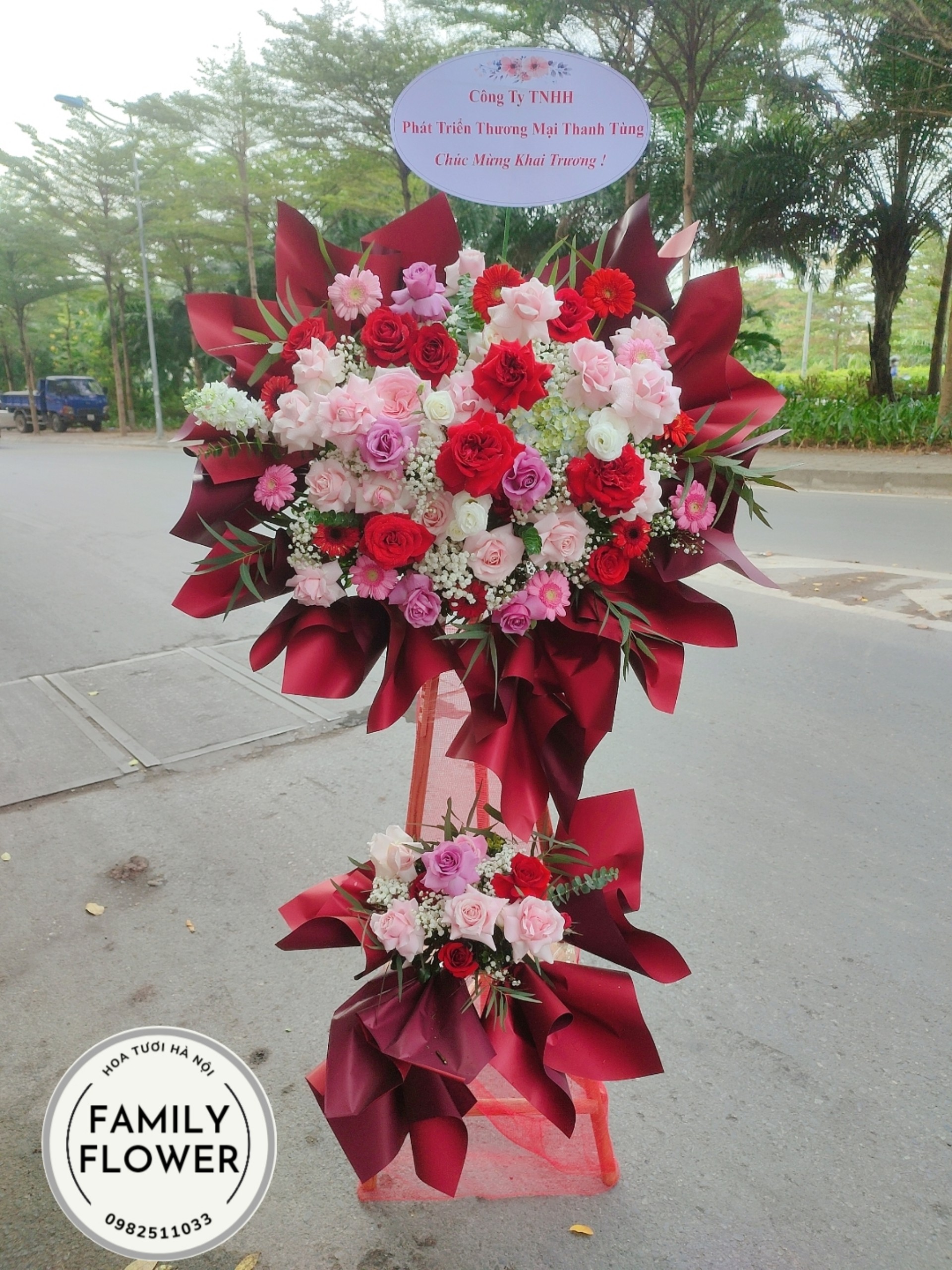 Hoa khai trương - Cây hoa khai trương Hà Nội