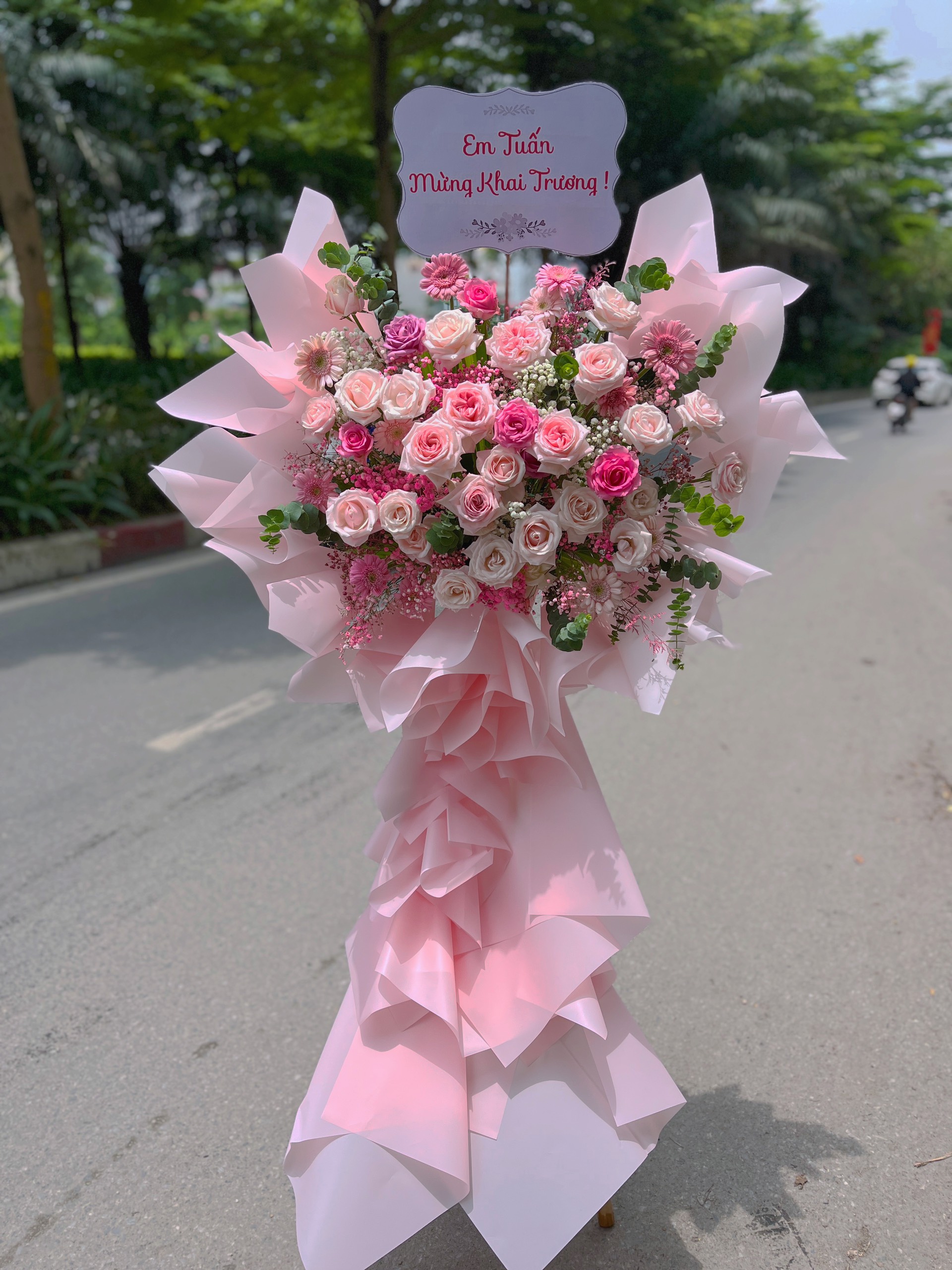 Cây hoa  chúc mừng khai trương quận Cầu Giấy , Ba Đình , Đống Đa ,Hà Nội ! Mua hoa tươi Hà Nội