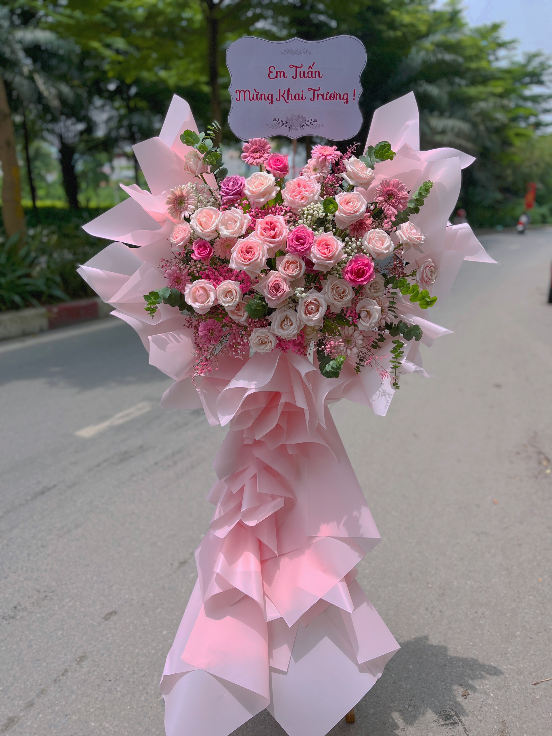 Cây hoa  chúc mừng khai trương quận Cầu Giấy , Ba Đình , Đống Đa ,Hà Nội ! Mua hoa tươi Hà Nội
