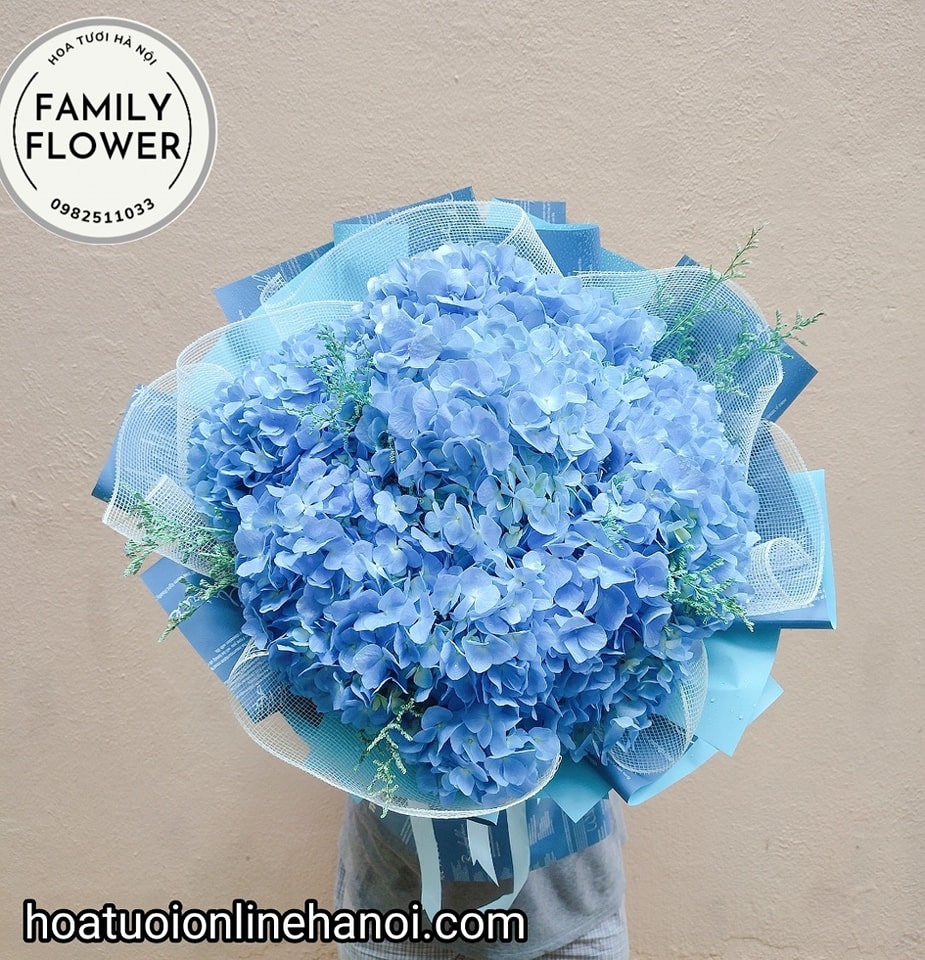 Bó hoa cẩm tú cầu chúc mừng sinh nhật vợ , bà xã tại Cầu Giấy . Hoa tươi Hà Nội.