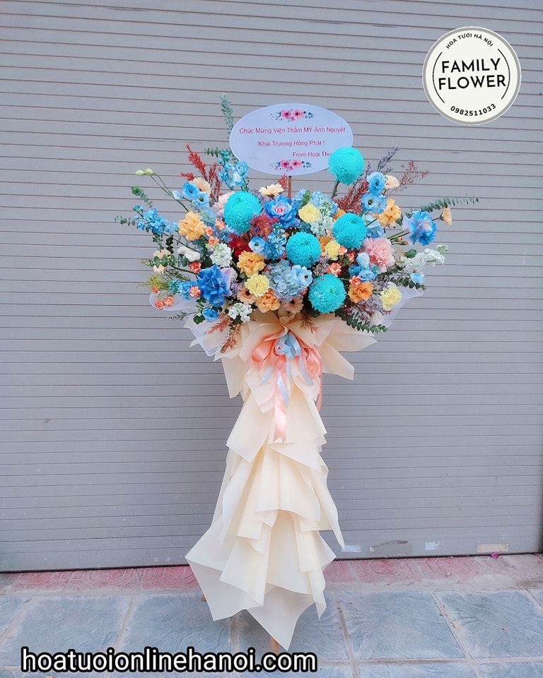 Cây hoa khai trương cúc mẫu đơn đẹp ở Hà Nội .Hoa khai trương Hà Nội