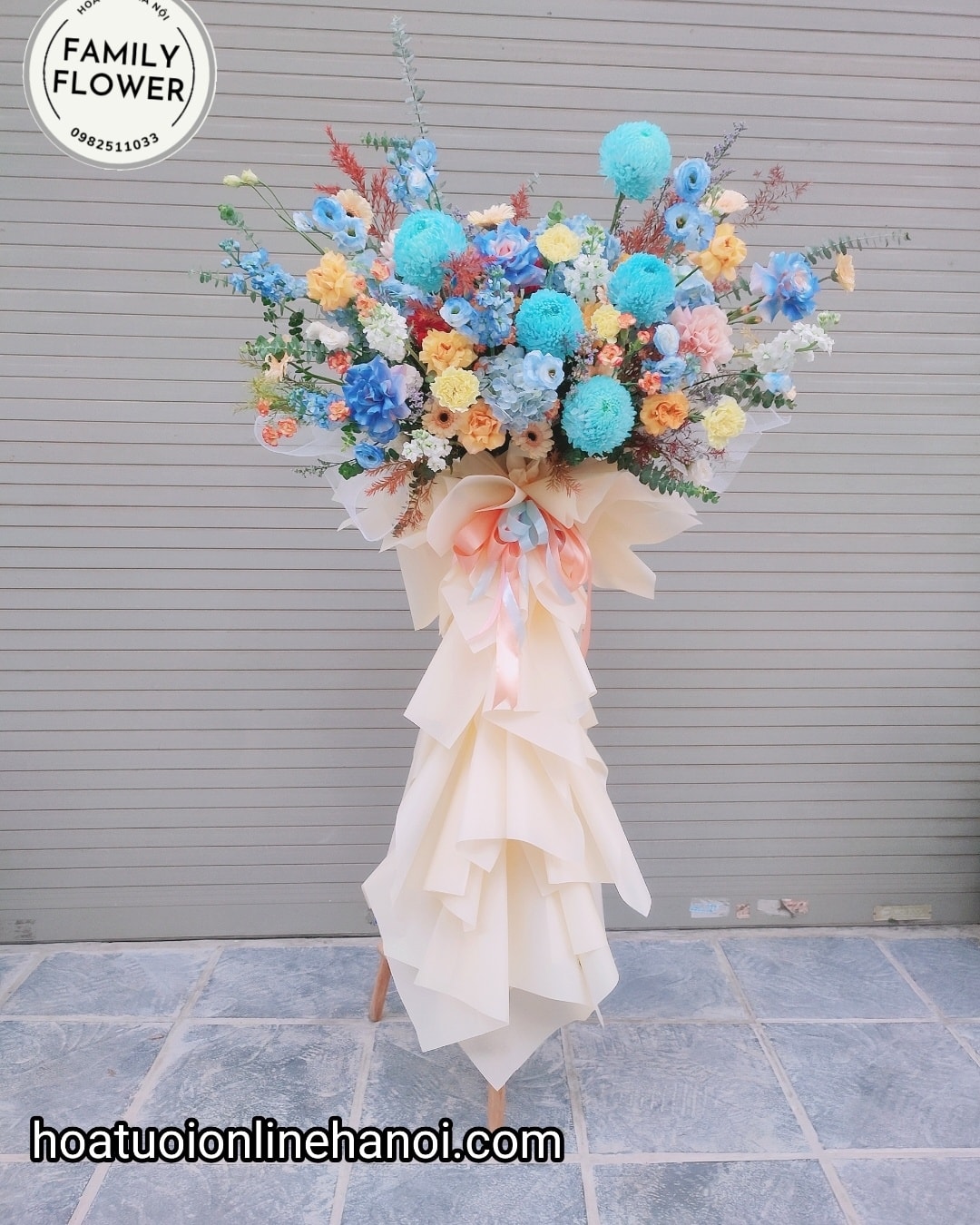 Cây hoa khai trương cúc mẫu đơn đẹp ở Hà Nội .Hoa khai trương Hà Nội