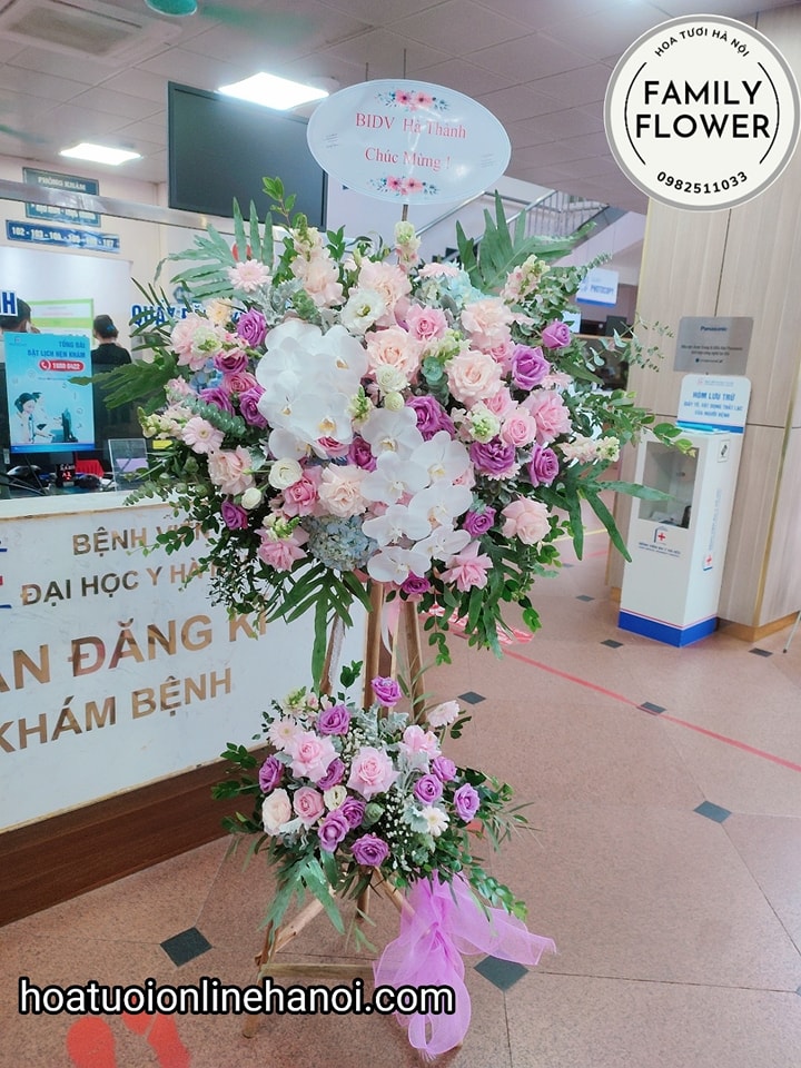 Cây hoa chúc mừng 2 cành lan hồ điệp chúc mừng hội nghị, sự kiện ,khai trương đẹp tại Hà Nội. Hoa tươi Hà Nội