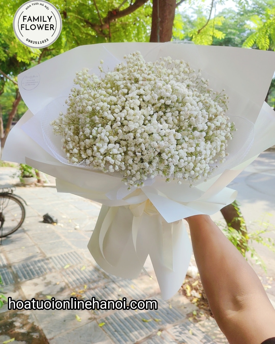 Bó hoa baby trắng chúc mừng sinh nhật vợ, người yêu , tỏ tình bạn gái ở Hà Nội. HOA BABY HÀ NỘI