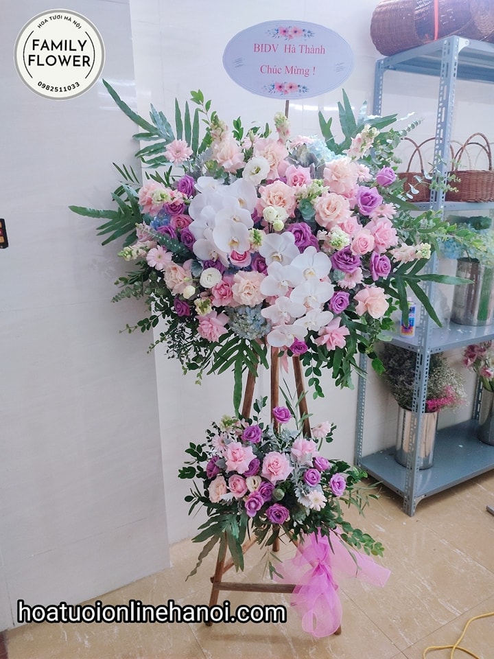 Cây hoa chúc mừng 2 cành lan hồ điệp chúc mừng hội nghị, sự kiện ,khai trương đẹp tại Hà Nội. Hoa tươi Hà Nội