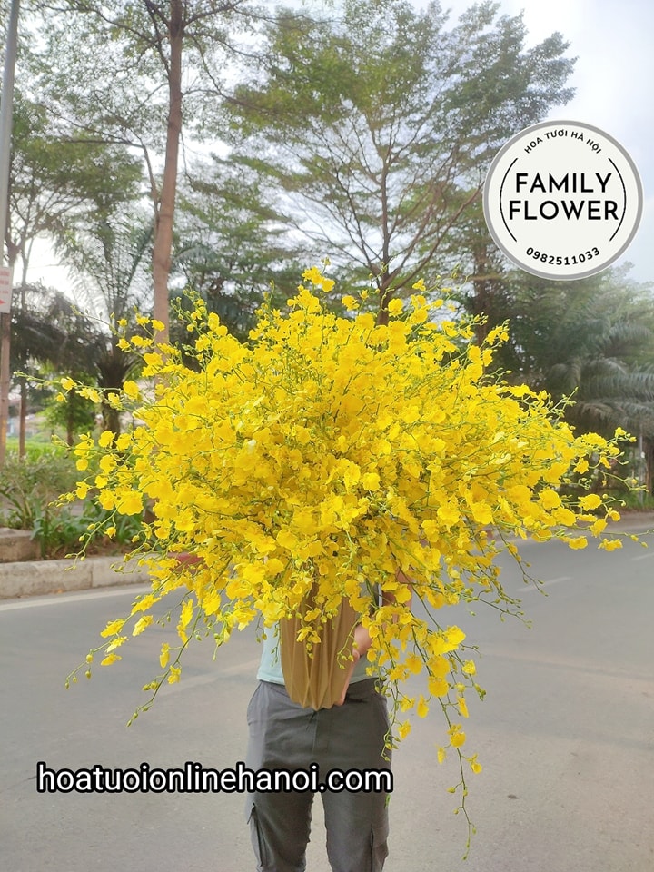 Hoa lan vũ nữ ,  bình hoa vũ nữ sang trọng tặng sếp - đối tác nhân dịp sinh nhật , khai trương , bình hoa cao cấp tại quận Ba Đình - Cầu Giấy