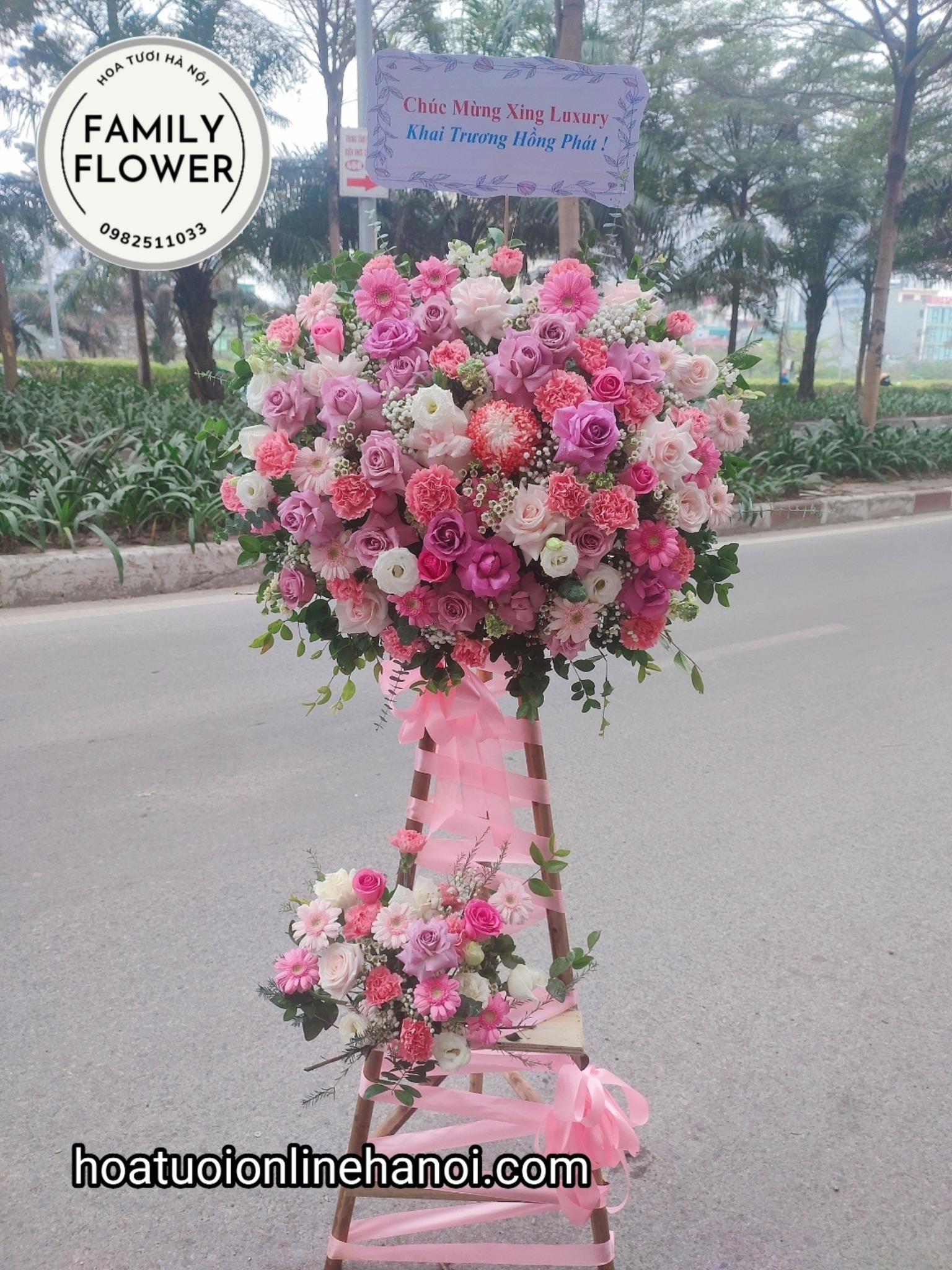 Hoa chúc mừng ! Cây hoa chúc mừng khai trương tại Cầu Giấy - Ba Đình - Hà Nội.