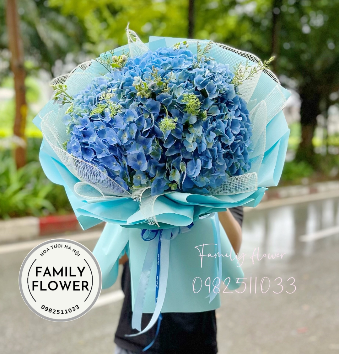 Bó hoa cẩm tú cầu xanh dương tặng sinh bố , anh trai ở hà nội . mua hoa cẩm tú cầu hà nội