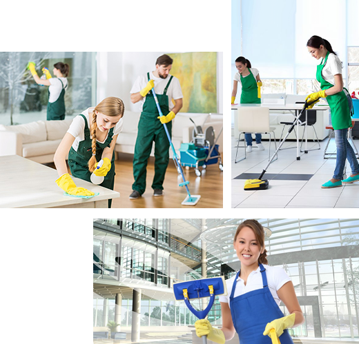 Giới thiệu công ty