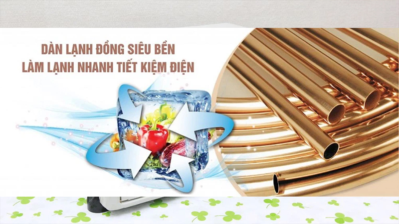 Hướng dẫn lựa chọn tủ đông Sanaky