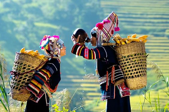 Hà Nội - Lào Cai - SaPa - Hà Nội
