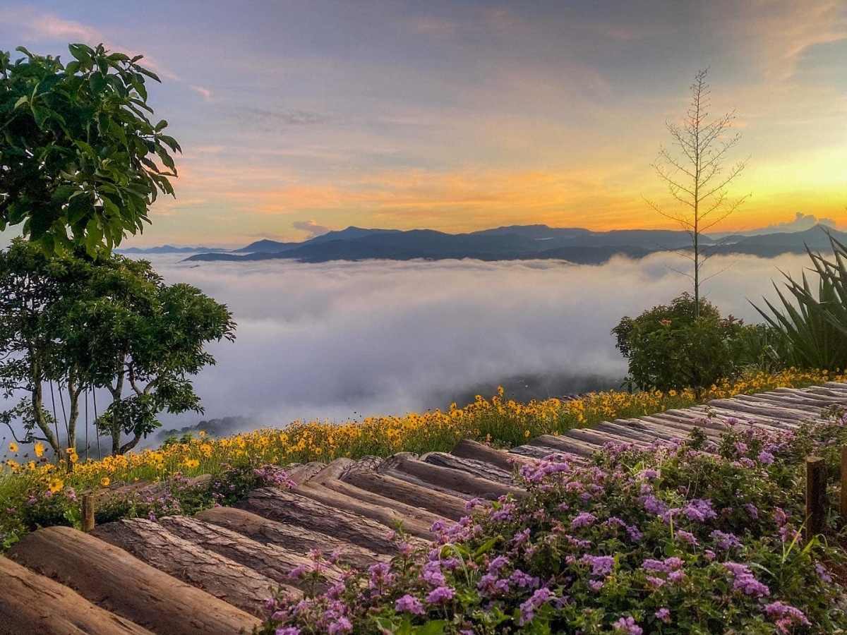 Hà Nội - Đà Lạt - Nha Trang