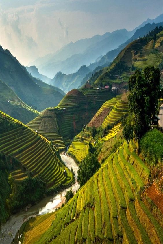 Hà Nội - Hồ Thác Bà - Mù Cang Chải - Yên Bái