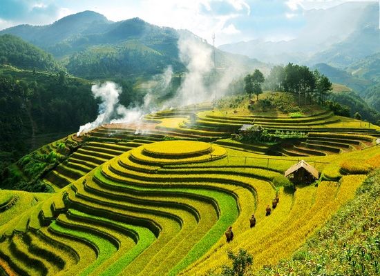 Hà Nội - Pù Luông - Hà Nội