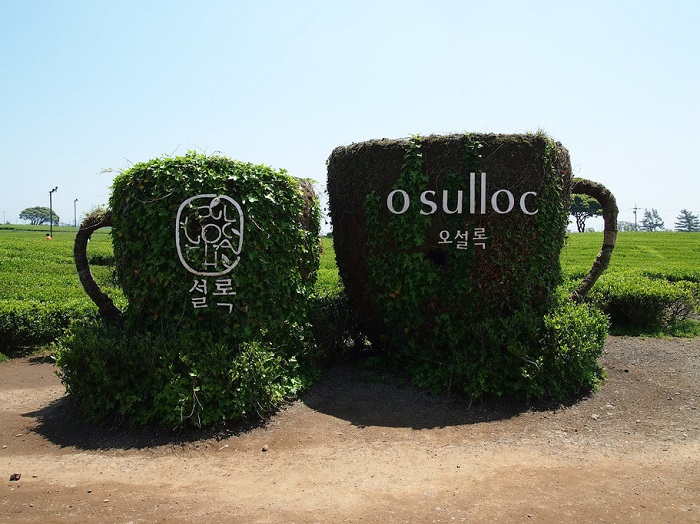 Hà Nội - Đảo Jeju