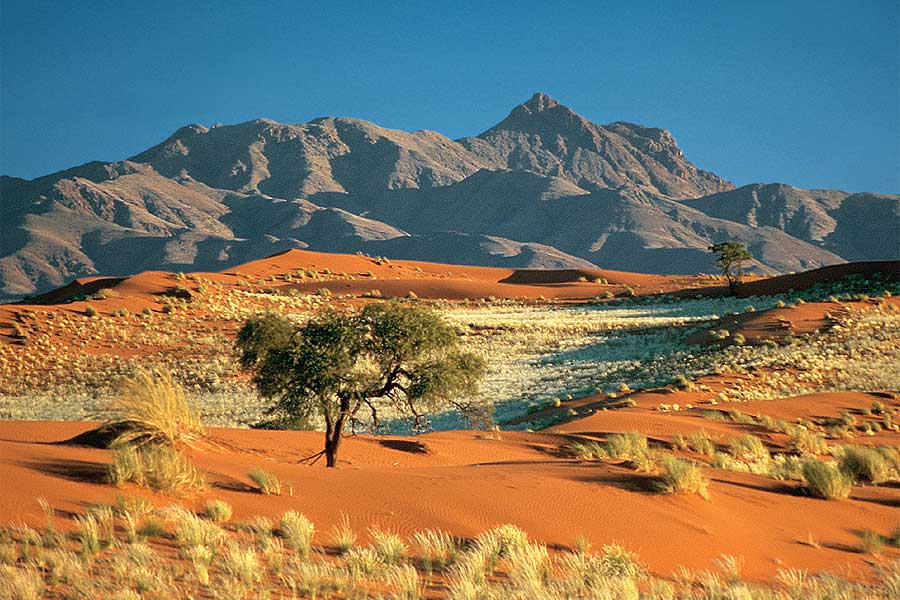 Khám Phá Vùng Đất “Ngoài Hành Tinh” Botswana - Namibia