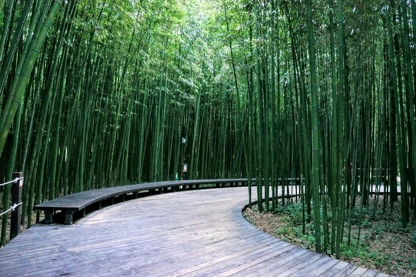 Hà Nội - Nagoya - Osaka - Nara - Kyoto - Núi Phú Sĩ - Tokyo