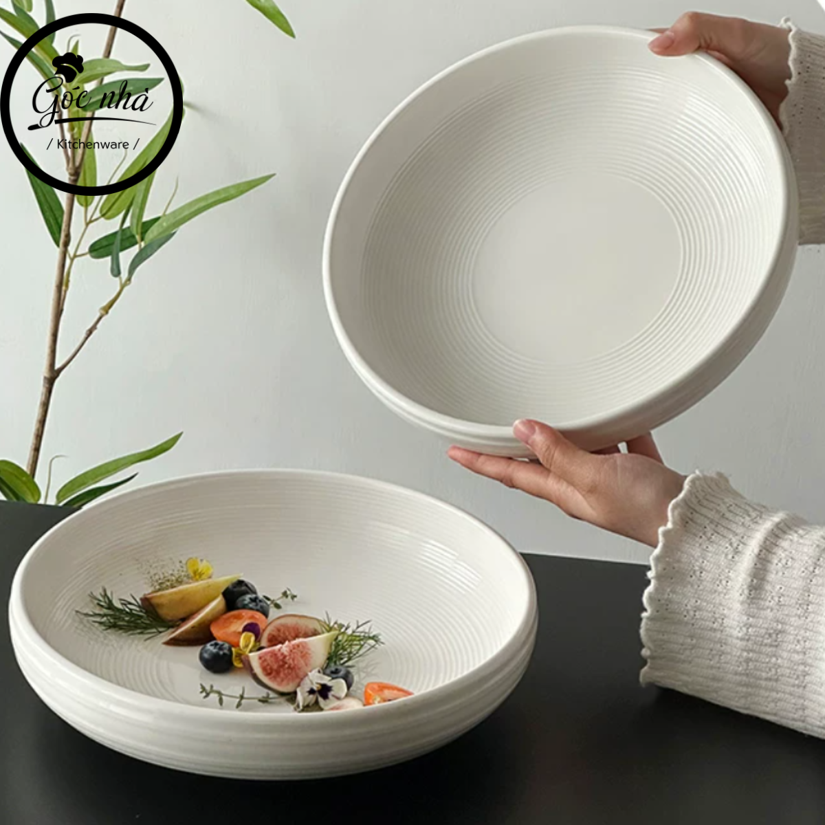 Tô sứ cao cấp Venus NEW