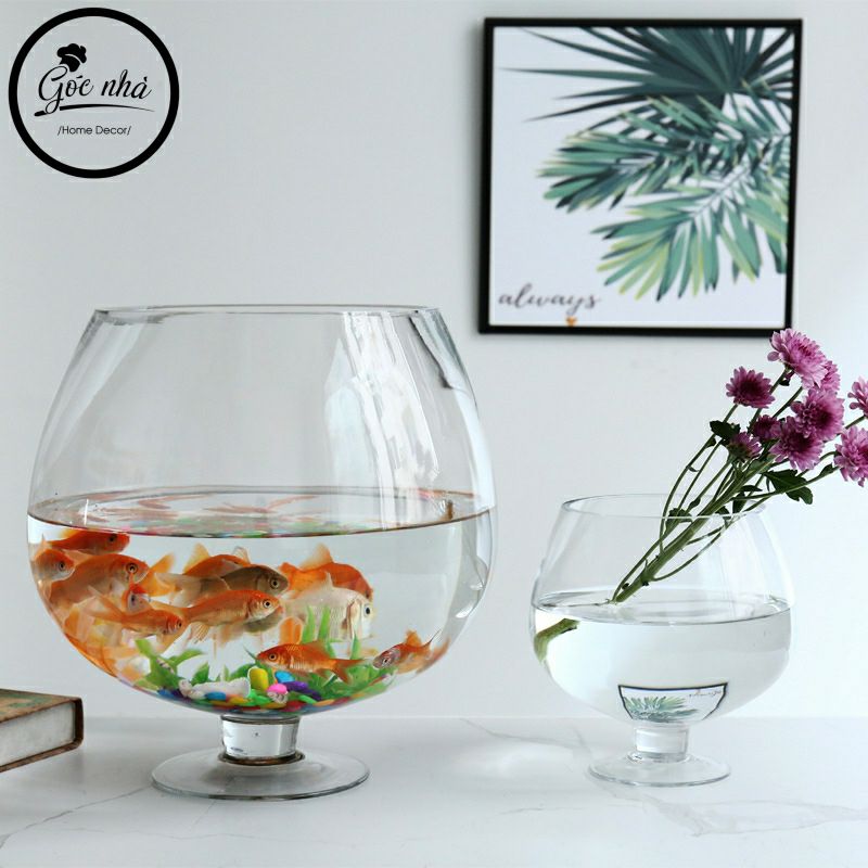 Bình Hoa Thủy Tinh Dáng Ly