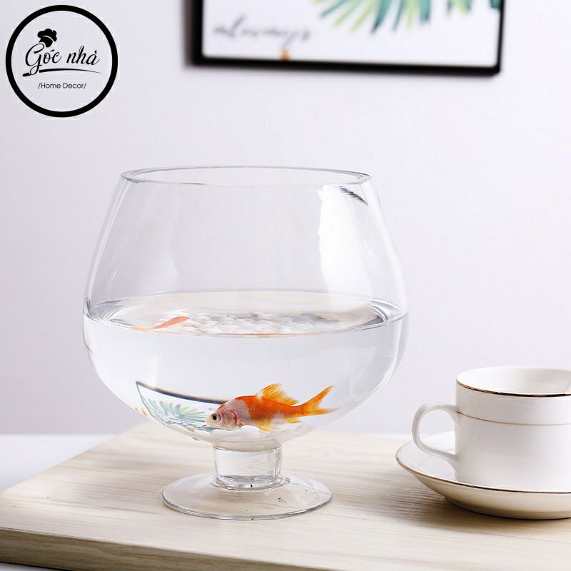 Bình Hoa Thủy Tinh Dáng Ly