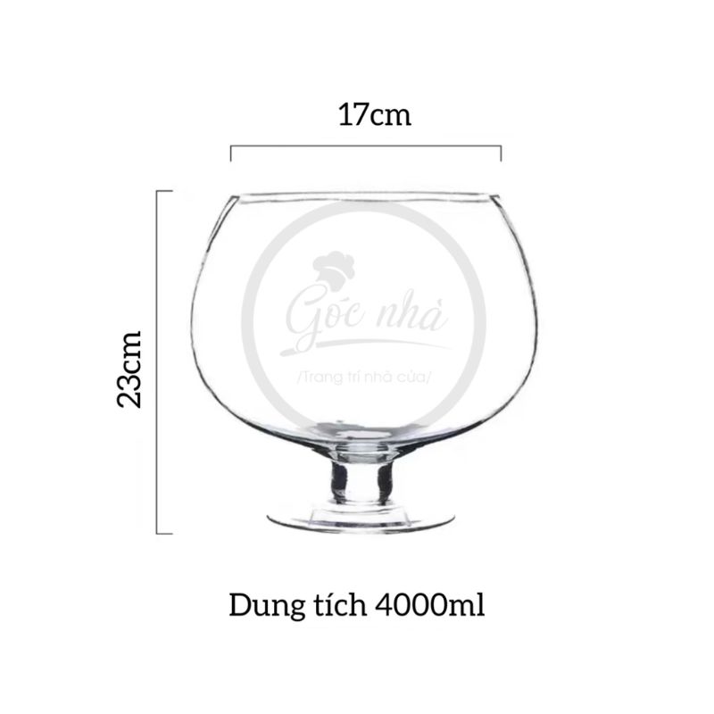 Bình Hoa Thủy Tinh Dáng Ly