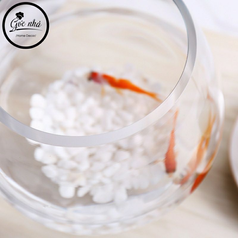 Bình Hoa Thủy Tinh Dáng Ly