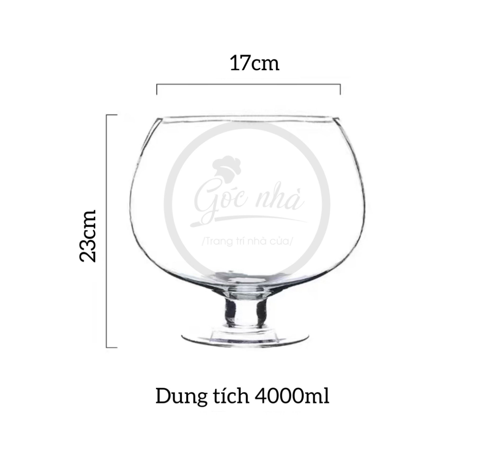 Bình Hoa Thủy Tinh Dáng Ly