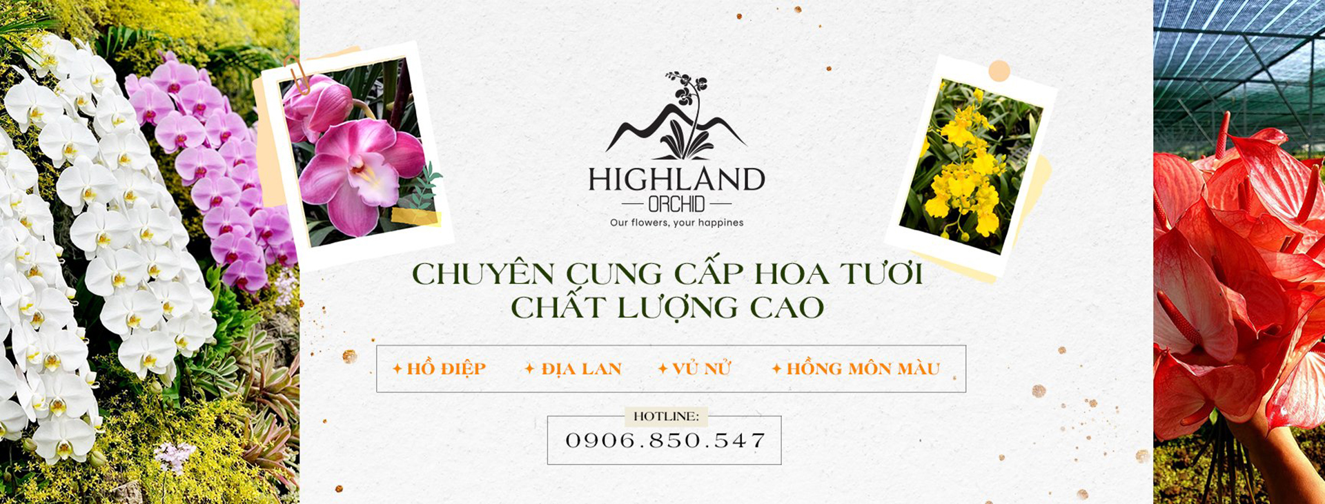 Highland garden