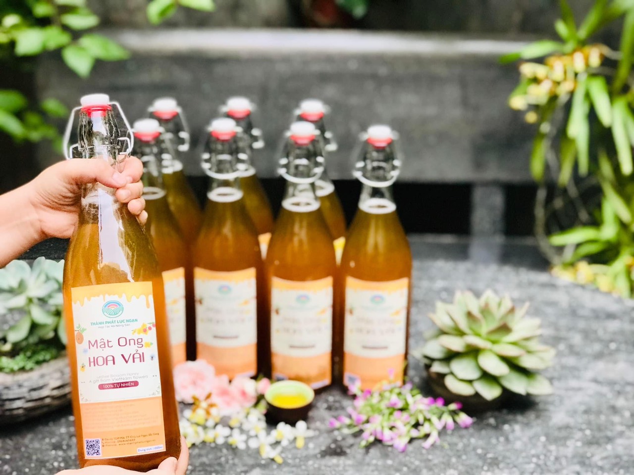Mật Ong hoa Vải