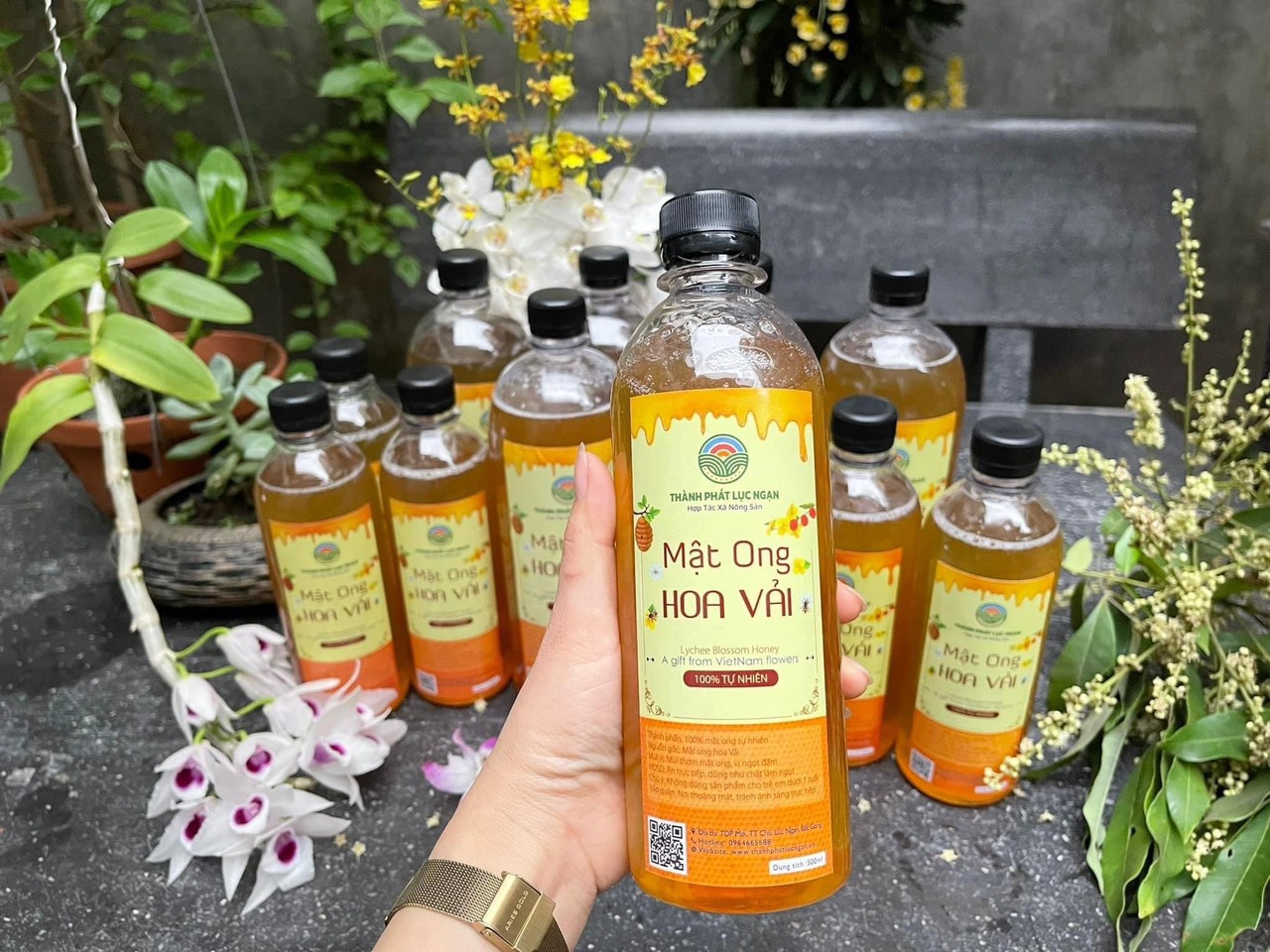 Mật Ong hoa Vải