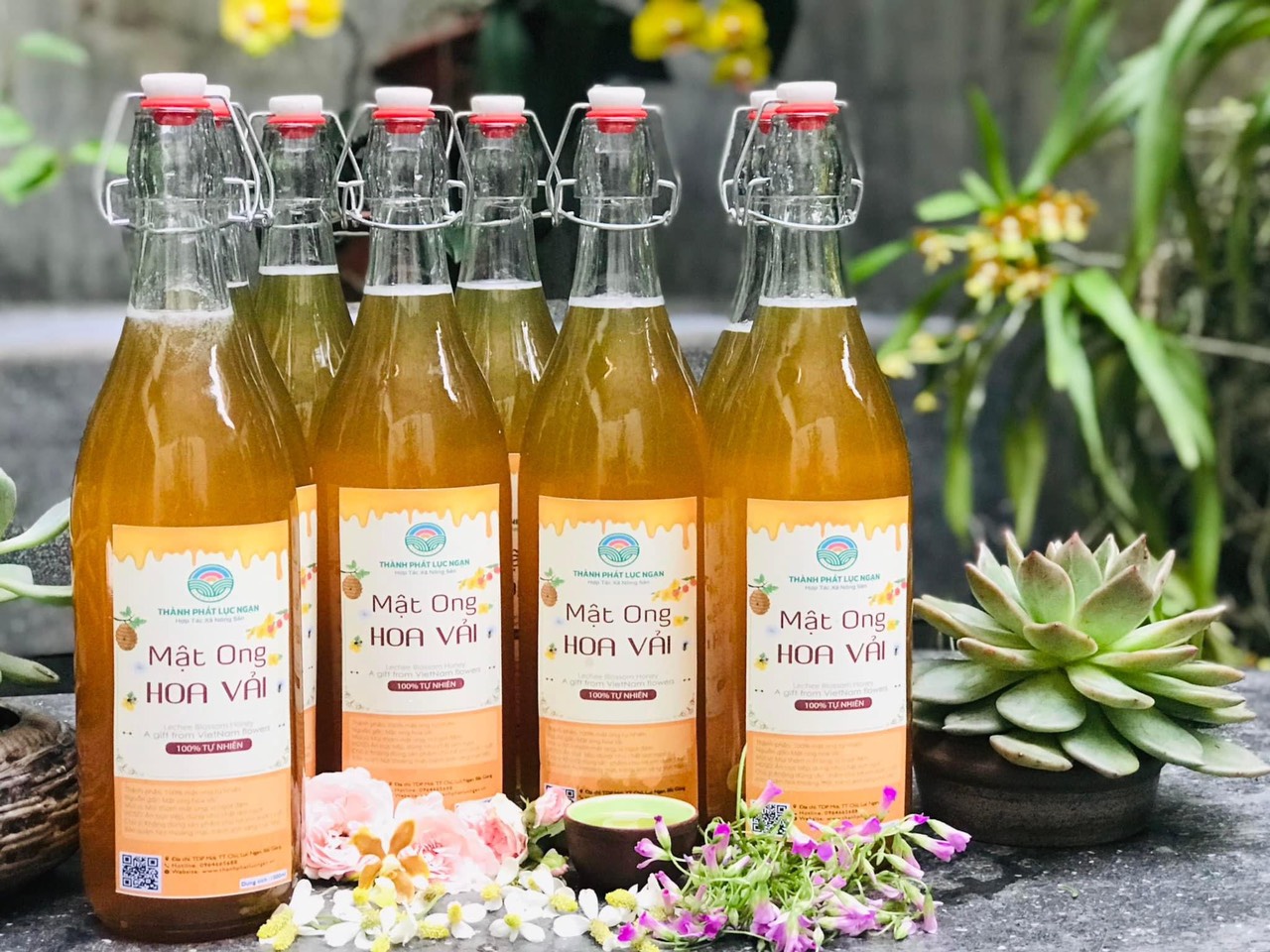Mật Ong hoa Vải