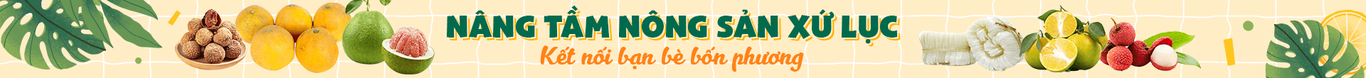 Banner header